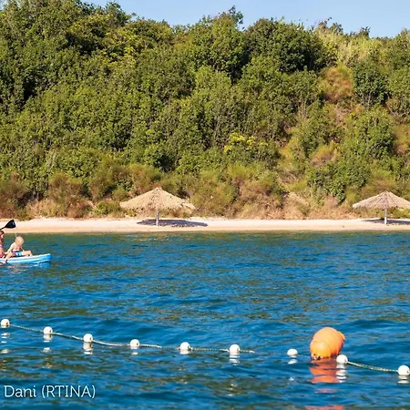 Dani, - Zadar